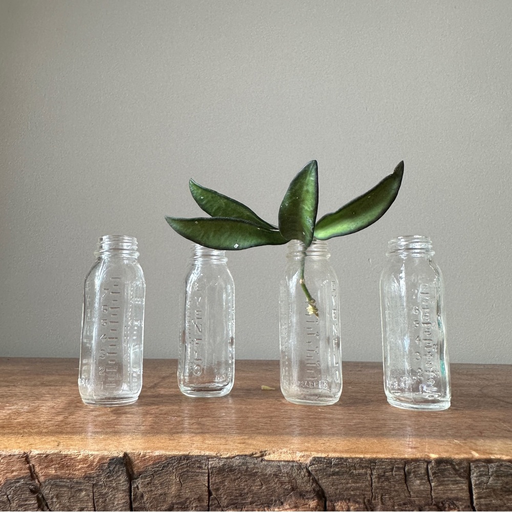 Vintage Glass Bottles Evenflow Baby Doll Accessories Glass Propagation Set of 4 - Picture 2 of 5